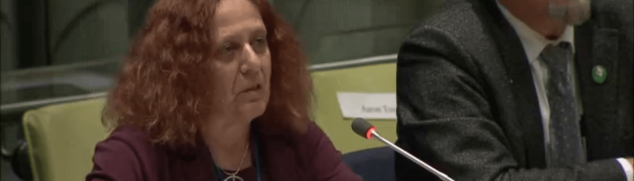 VIDEO: Jackie Cabasso, UFPJ Co-Convener, Addresses UN to Eliminate Nukes