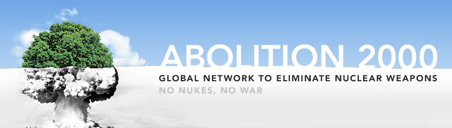 Peace and Disarmament Work Amidst the Pandemic: Global Perspectives