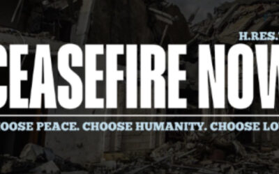 Demand an Immediate Ceasefire in the Israel-Gaza War